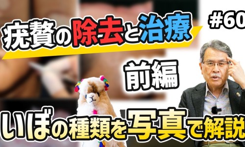 西瓜梨甜瓜的营养和功效与作用-西瓜梨甜瓜的营养和功效网-分享西瓜梨甜瓜的营养和功效与禁忌，梨瓜和西瓜的区别知识库